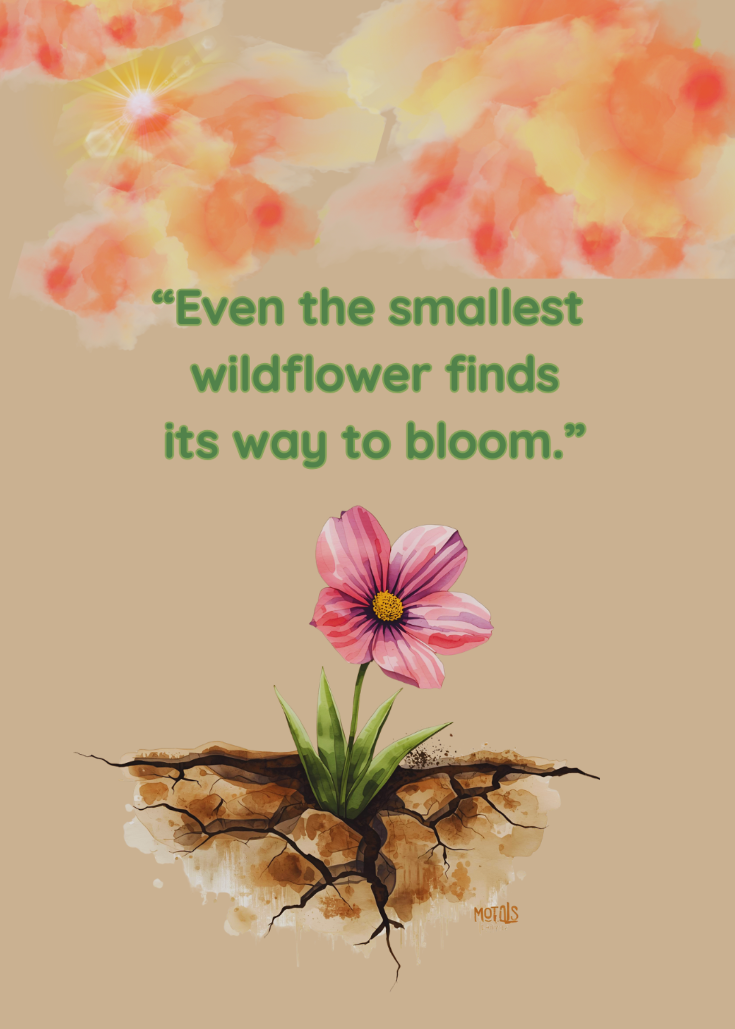 "A Flower Grows Where The Ground Cracks