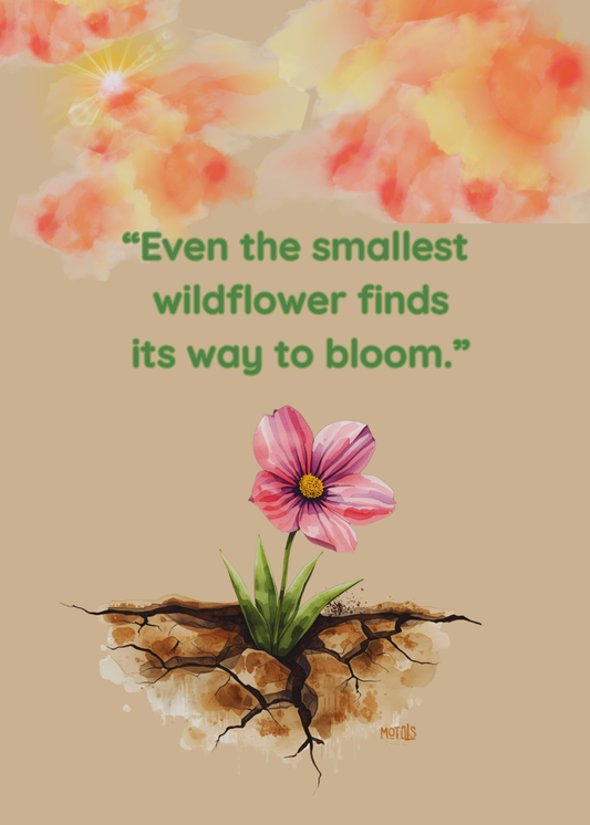"A Flower Grows Where The Ground Cracks